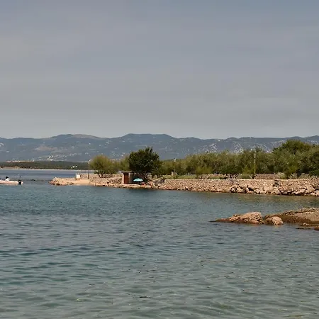 Rina ヴァンタシチ